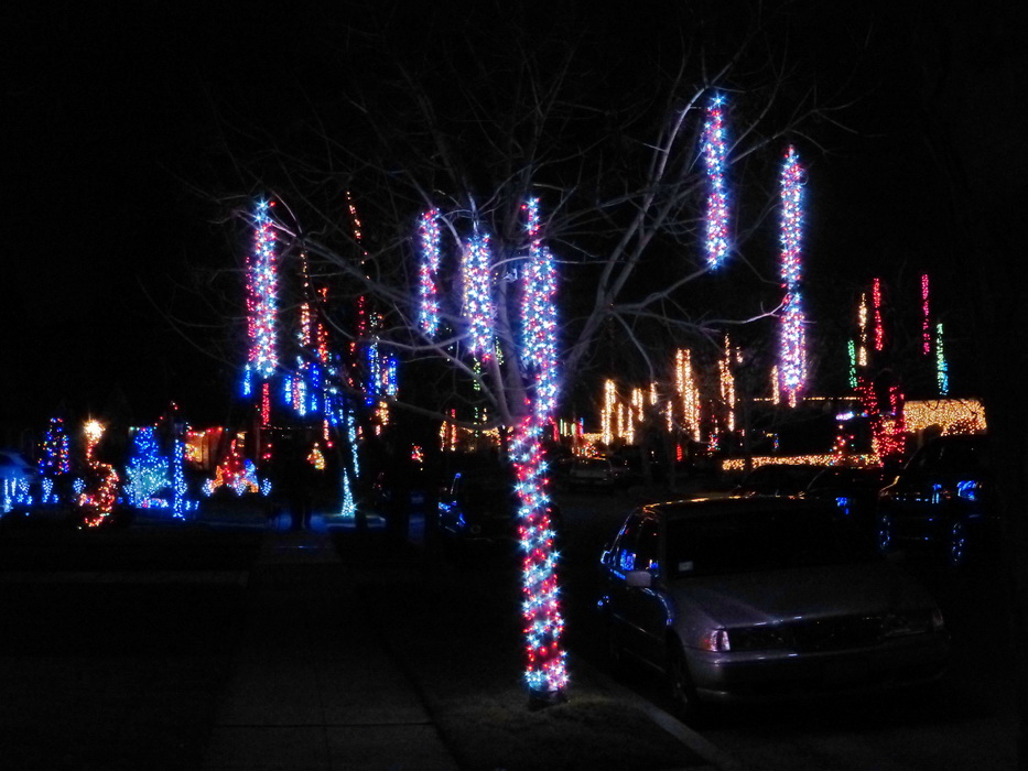 Christmas lights of Willow Glen, 2013